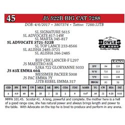 J5 522B BIG CAT 7288