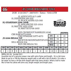 J5 209B REGARD 7203