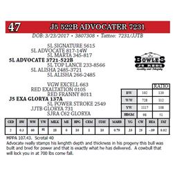 J5 522B ADVOCATER 7231