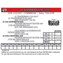 J5 LOADED GUN 7222