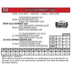 J5 425 SUMMIT 7266
