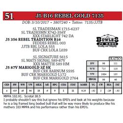 J5 B16 REBEL GOLD 7135