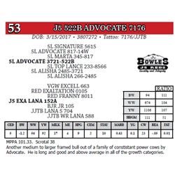 J5 522B ADVOCATE 7176