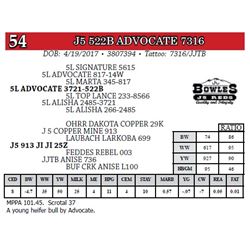 J5 522B ADVOCATE 7316