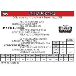 J5 31A JOE 7302