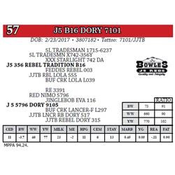 J5 B16 DORY 7101