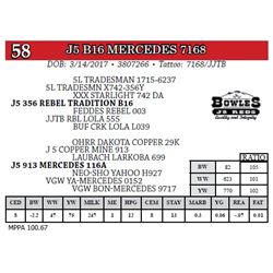 J5 B16 MERCEDES 7168