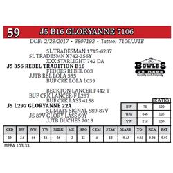 J5 B16 GLORYANNE 7106