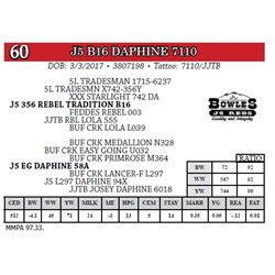 J5 B16 DAPHINE 7110
