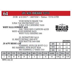 J5 425 BESSI 7273