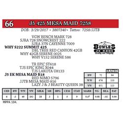 J5 425 MESA MAID 7258