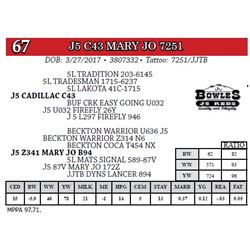 J5 C43 MARY JO 7251
