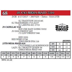 J5 C43 MESA MAID 7310