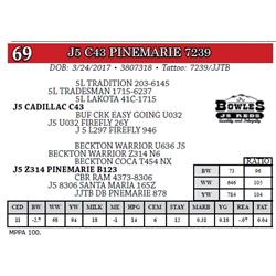 J5 C43 PINEMARIE 7239