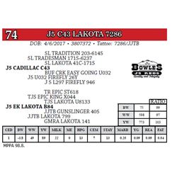 J5 C43 LAKOTA 7286