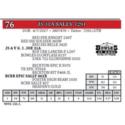 J5 31A SALLY 7291