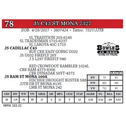 J5 C43 ST MONA 7327