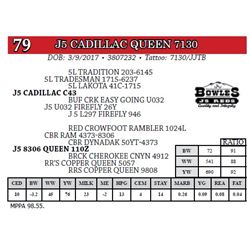 J5 CADILLAC QUEEN 7130