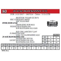 J5 674Z BLOCKANNA 7172