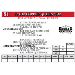 J5 C43 COPPER QUEEN 7313