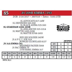 J5 209B EMMA 7193