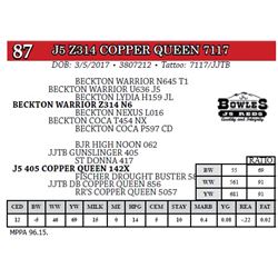 J5 Z314 COPPER QUEEN 7117