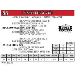 J5 Z314 LILLY 7151