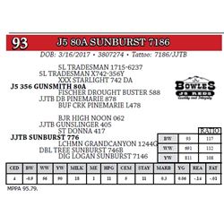 J5 80A SUNBURST 7186