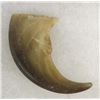 Image 2 : 3 Animal Claws