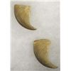 Image 3 : 3 Animal Claws