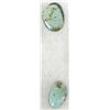 Image 2 : 5 Nevada Turquoise Polished Cabochons