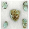 Image 4 : 5 Nevada Turquoise Polished Cabochons