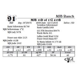 Lot 91 - MJB 15D of 17Z 413B