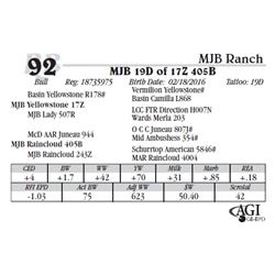 Lot 92 - MJB 19D of 17Z 405B