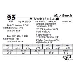 Lot 93 - MJB 22D of 17Z 454B