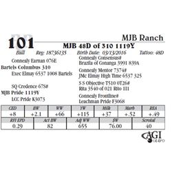 Lot 101 - MJB 48D of 310 1119Y