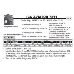 ICC AVIATOR 7211