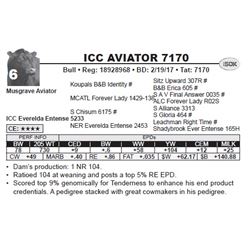 ICC AVIATOR 7170