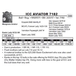 ICC AVIATOR 7182