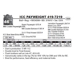 ICC PAYWEIGHT 419-7219