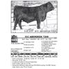 Image 1 : ICC ABERDEEN 7209
