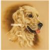 Image 1 : Pat Copeland Print of Golden Labrador Framed