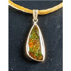 Ammolite Pendant w/Fashion Cord Necklace RV $800