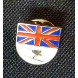 Great Britain Down Hill Skiing Pin