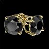 Image 4 : 2.50 CTW Fancy Black VS Diamond Solitaire Stud Earrings 10K Yellow Gold - REF-51W3F - 33105