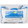 Image 1 : BUNDLE OF 2 COLUMBIA DOWN ALTERNATIVE PILLOWS