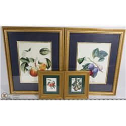 SET OF 4 FRUIT WALL PICTURES