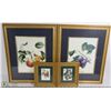 Image 1 : SET OF 4 FRUIT WALL PICTURES