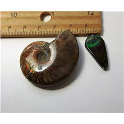 17 - NATURAL AMMONITE FOSSIL