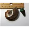 Image 1 : 17 - NATURAL AMMONITE FOSSIL